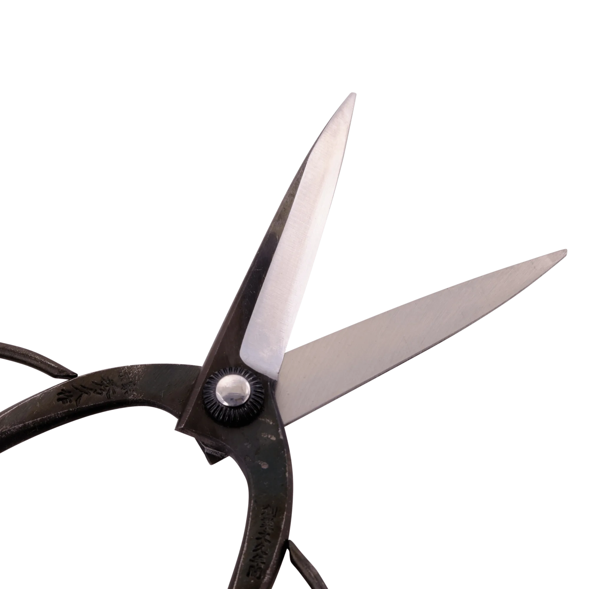 Bonsai Scissors - 200mm