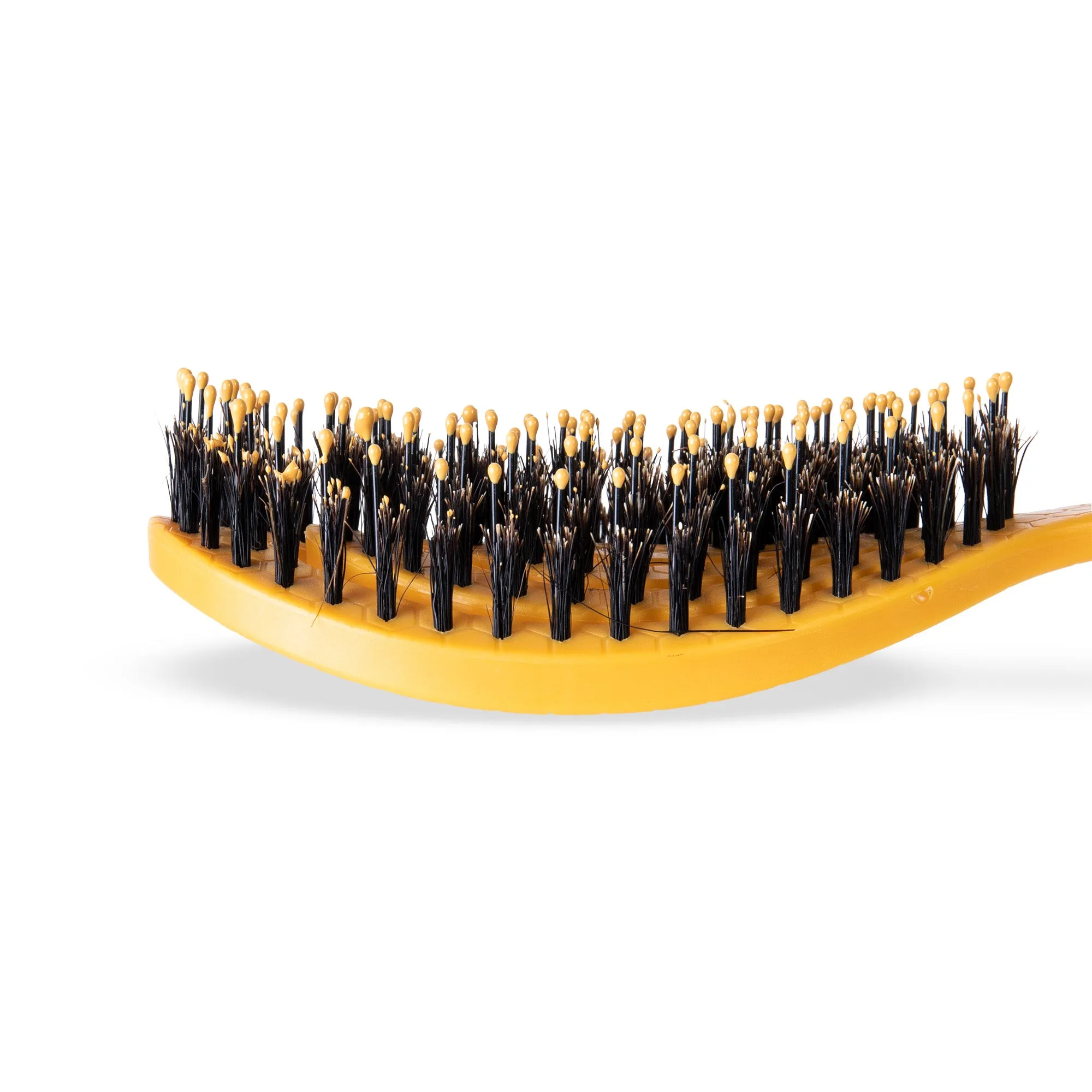 Burt's Bees Ocean Bound Plastic Porcupine Bristle Dog Brush