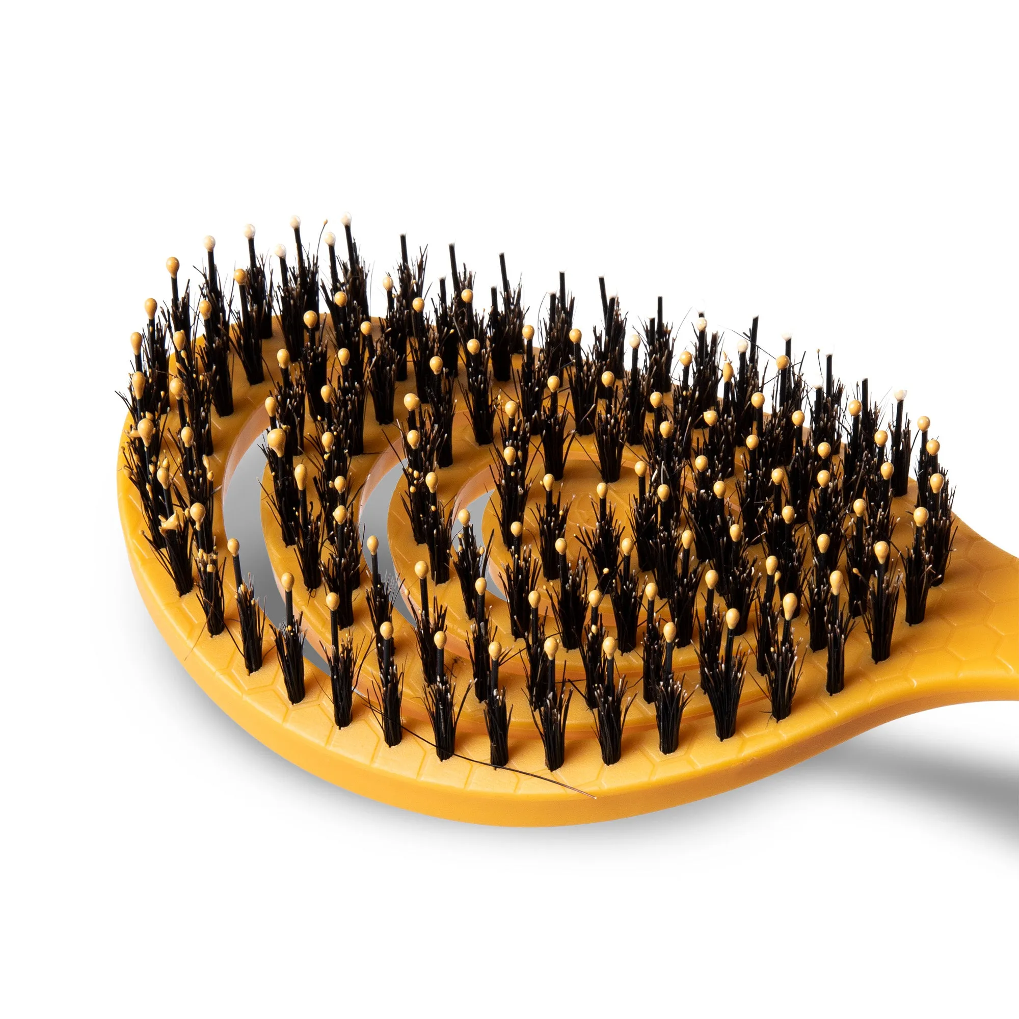 Burt's Bees Ocean Bound Plastic Porcupine Bristle Dog Brush