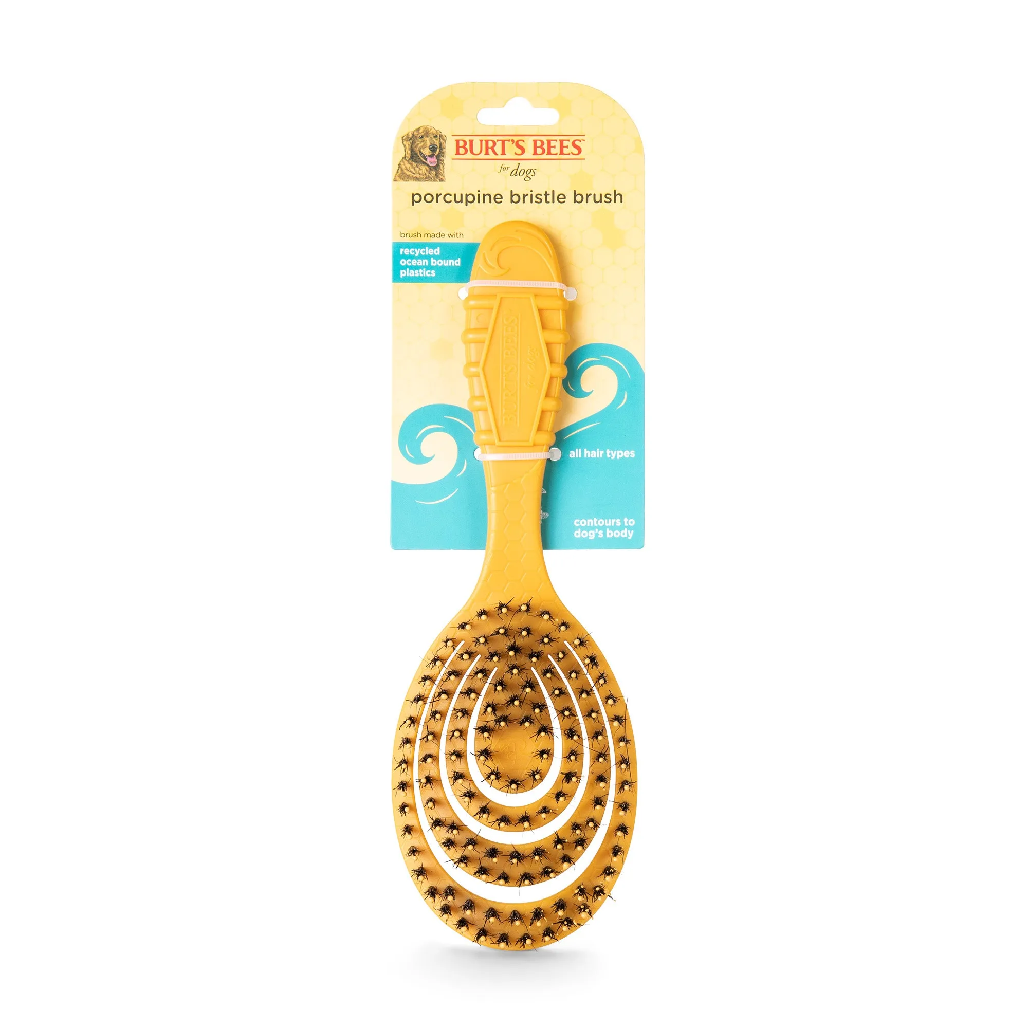 Burt's Bees Ocean Bound Plastic Porcupine Bristle Dog Brush