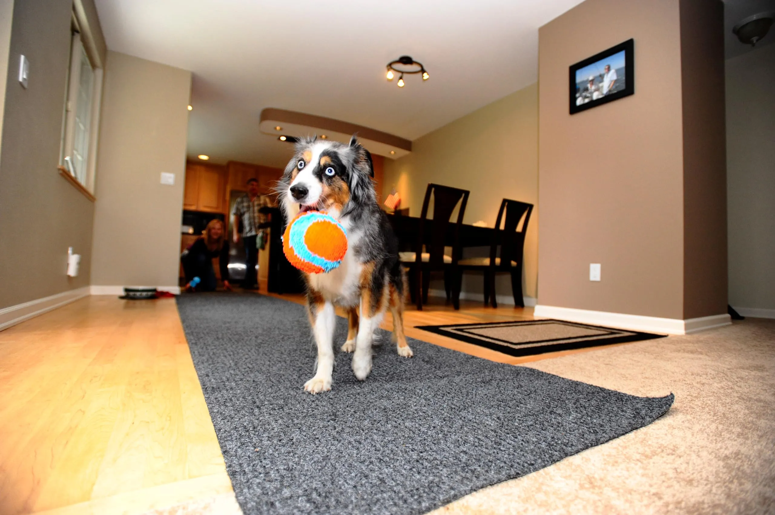 Chuckit! Indoor Ball Dog Toy, Soft Dog Toy (4.75 Inch)