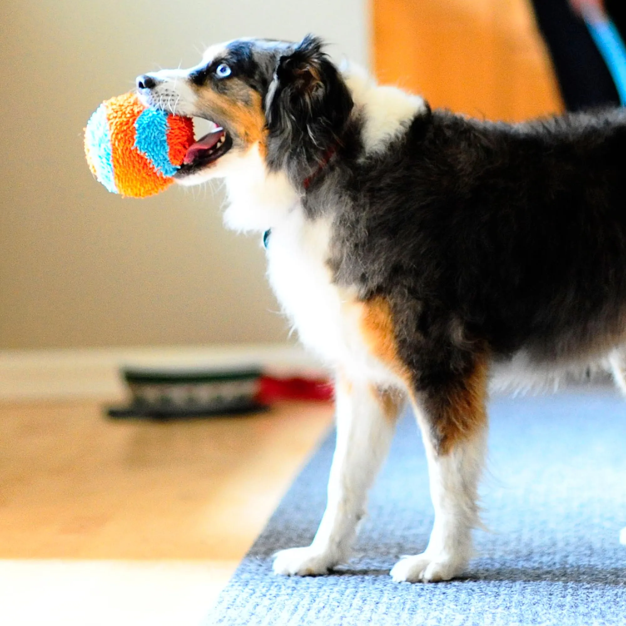 Chuckit! Indoor Ball Dog Toy, Soft Dog Toy (4.75 Inch)