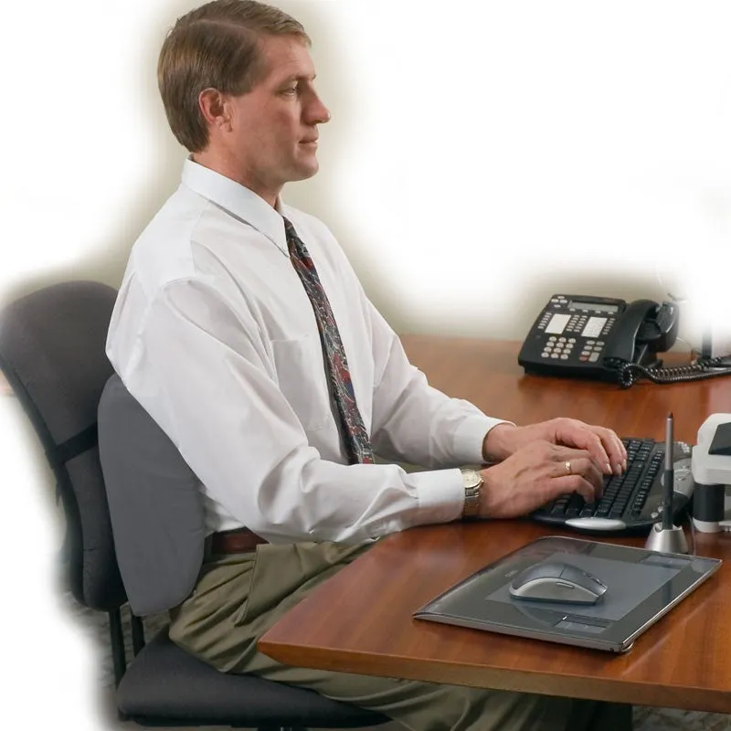 Core Std Sitback Lumbar Support