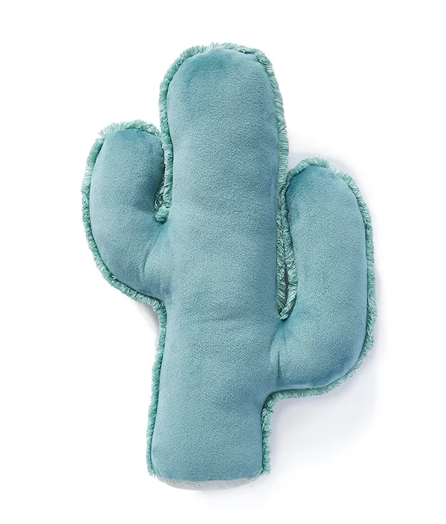 Cuddly Cactus Cushion