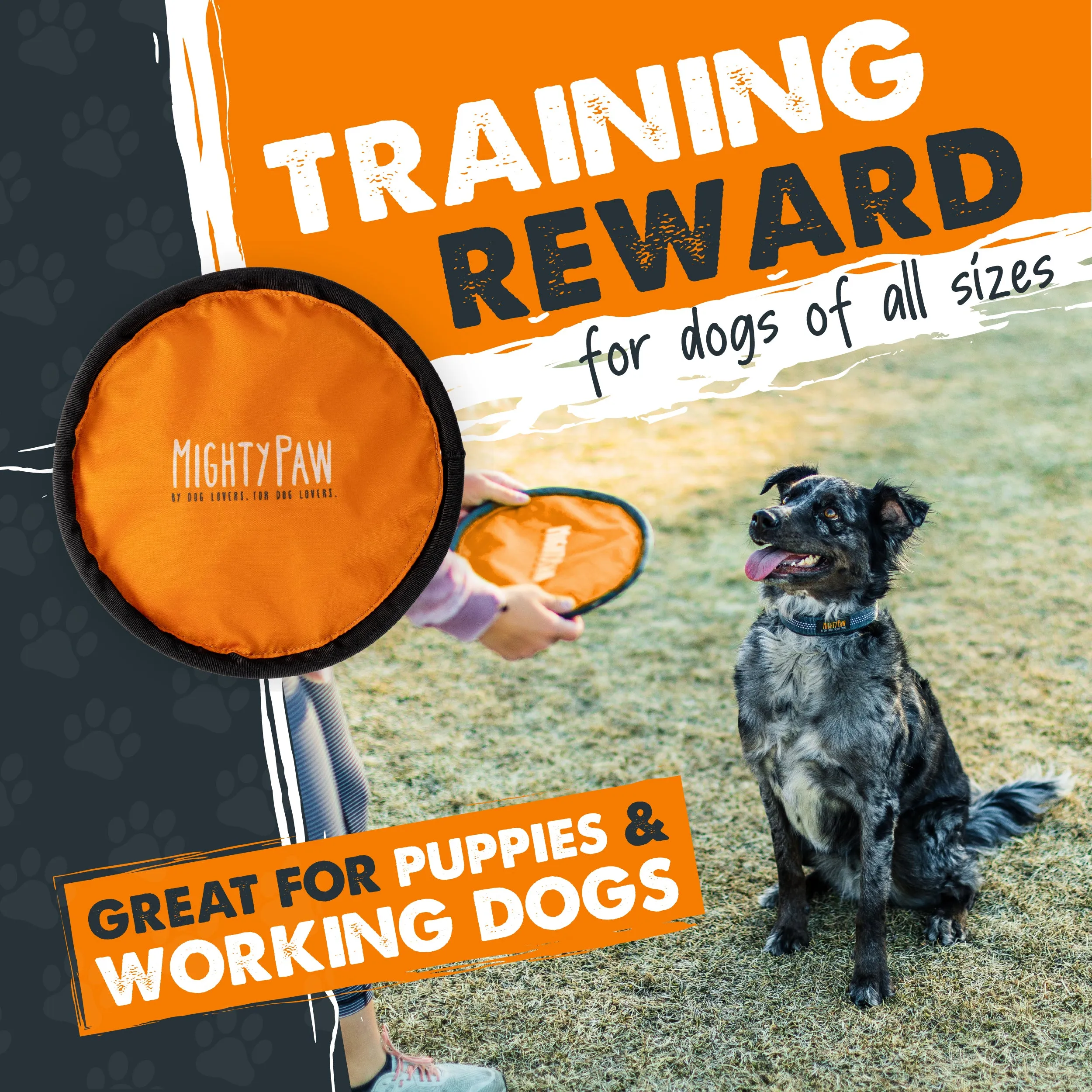 Durable Frisbee (2pk)