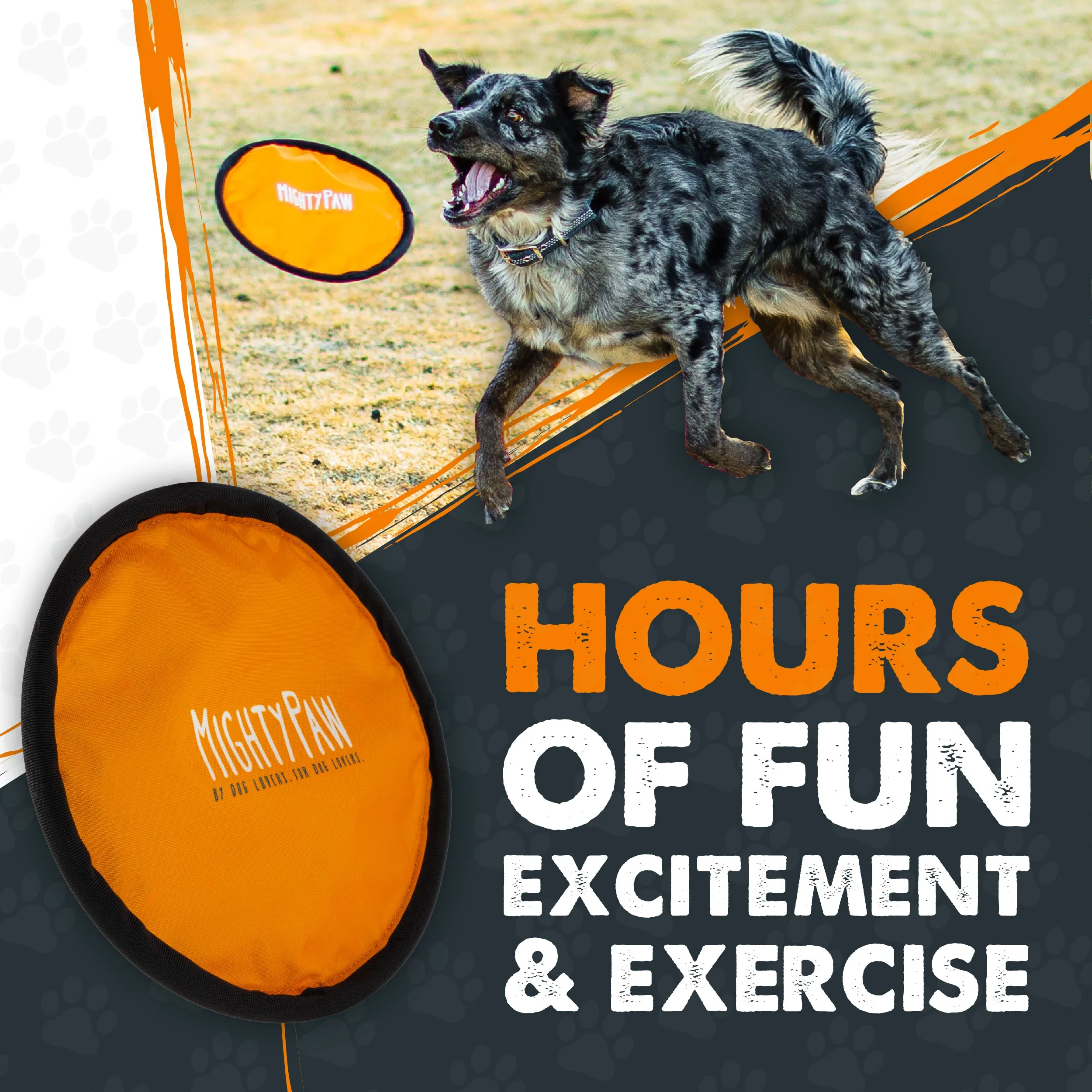 Durable Frisbee (2pk)