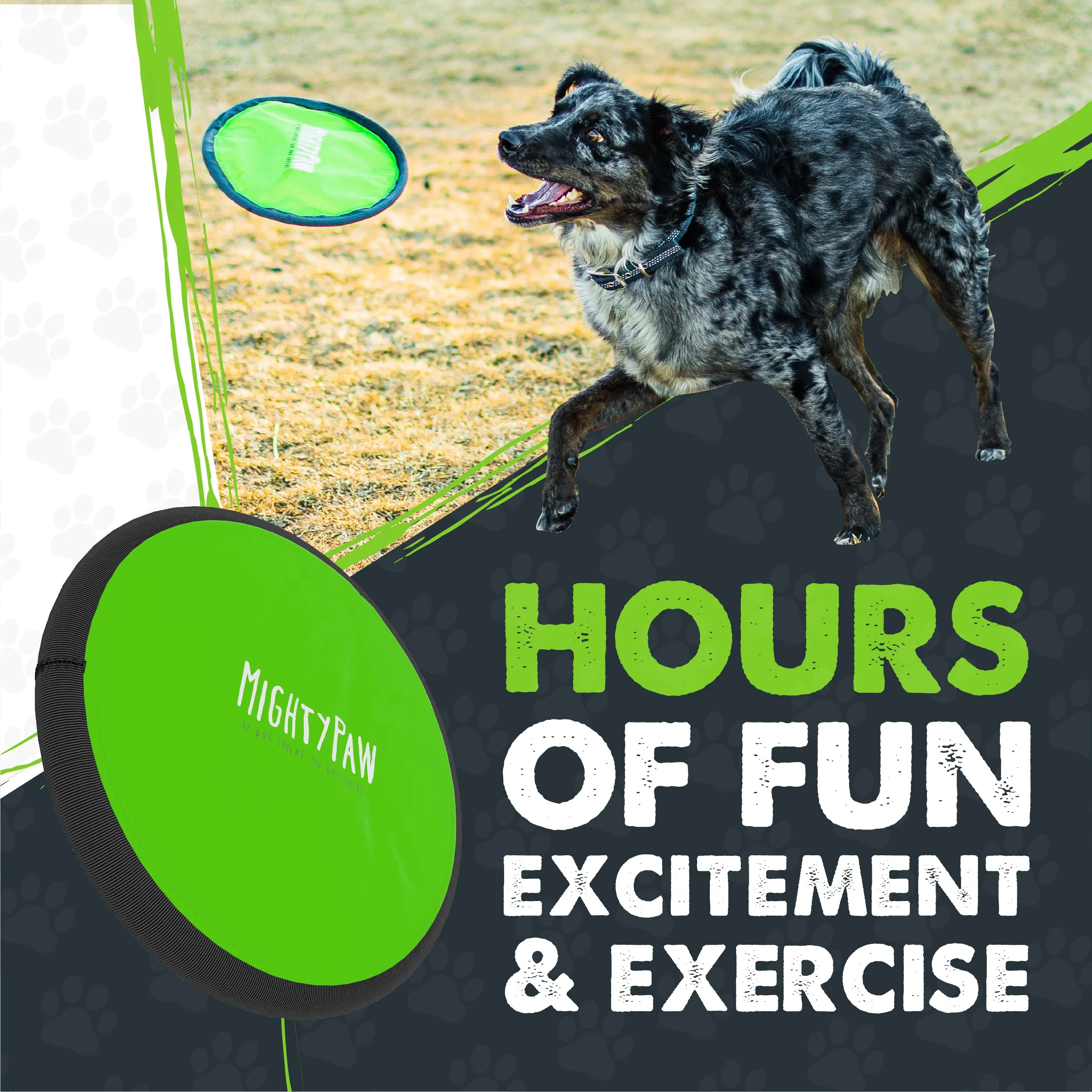 Durable Frisbee (2pk)