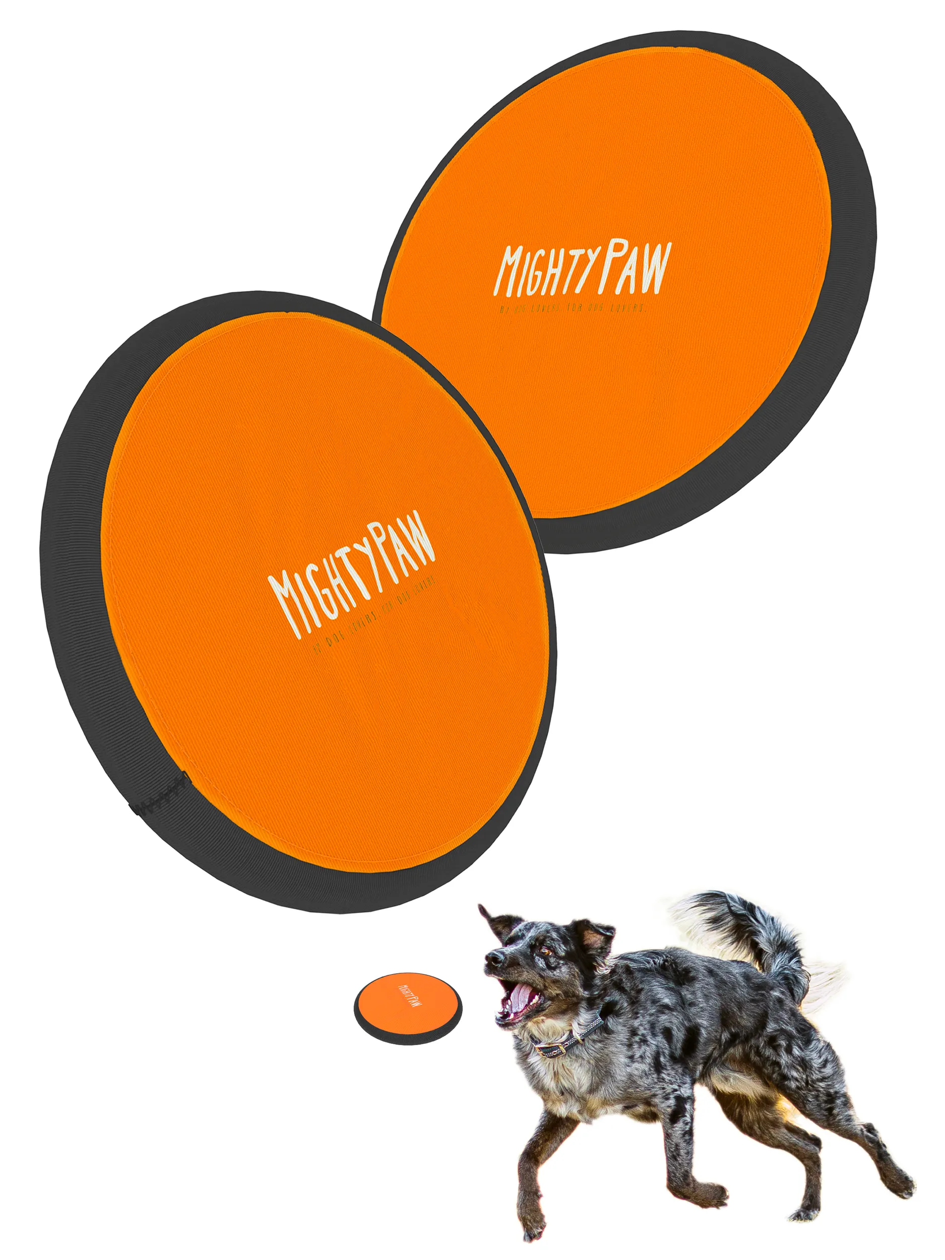 Durable Frisbee (2pk)
