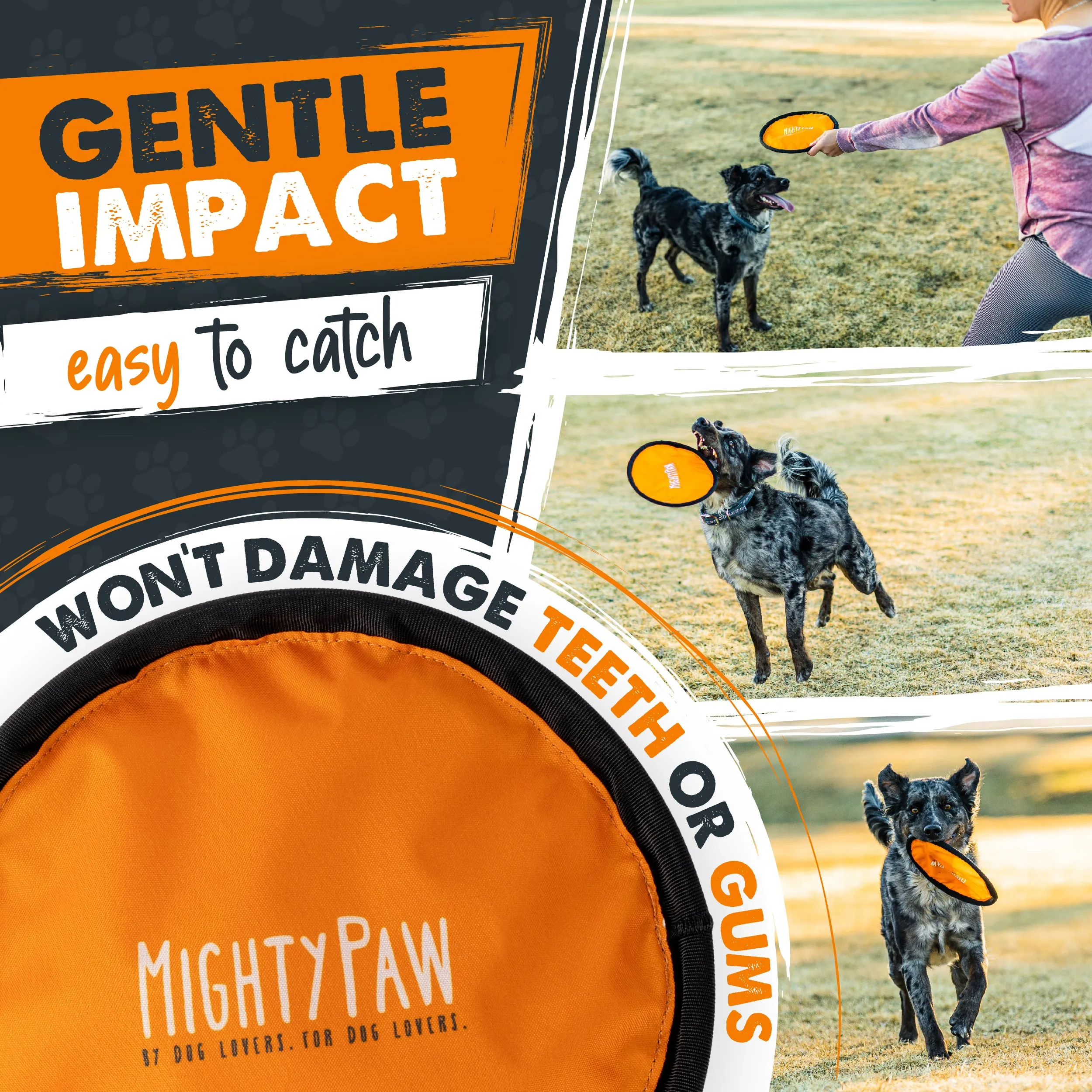 Durable Frisbee (2pk)