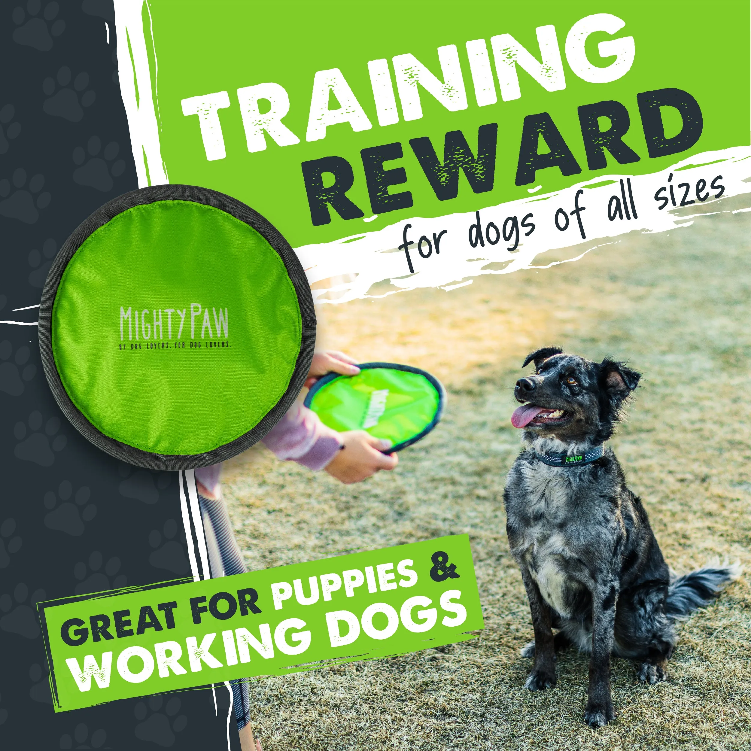 Durable Frisbee (2pk)