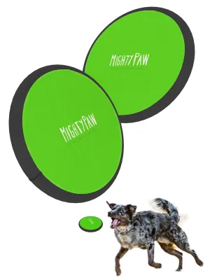 Durable Frisbee (2pk)