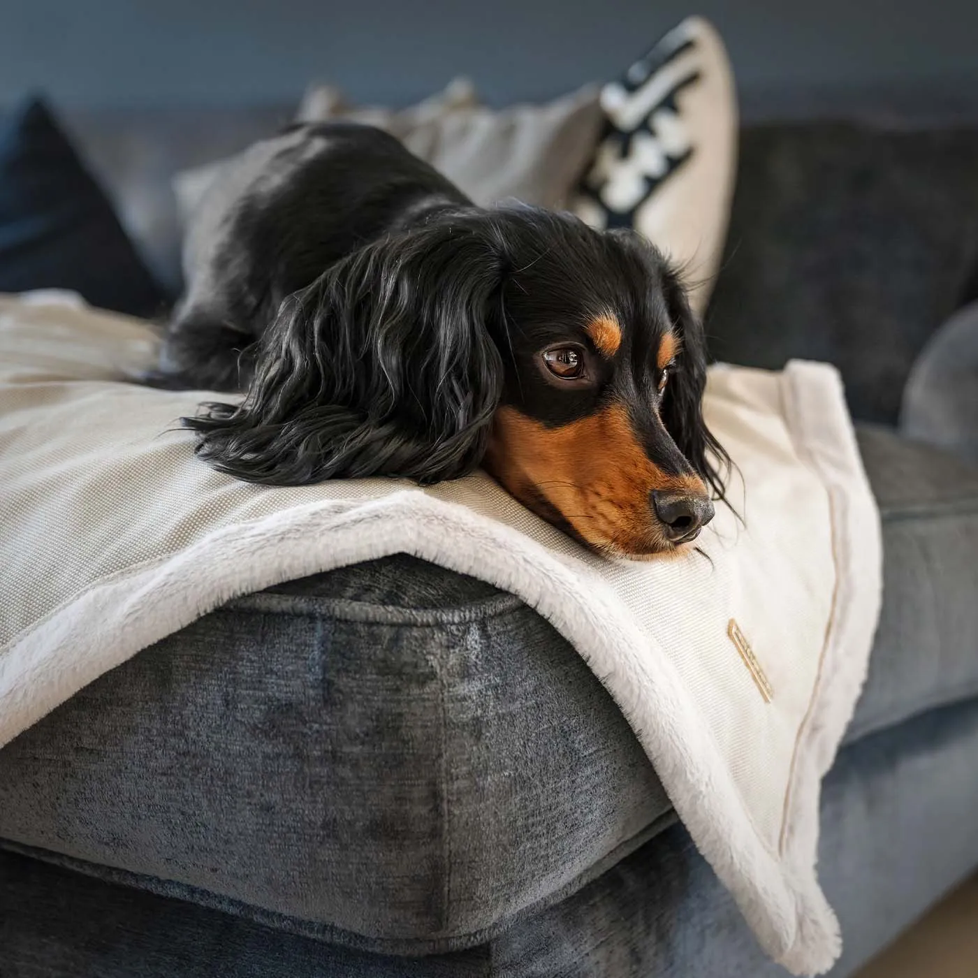 Essentials Twill Blanket in Linen by Lords & Labradors