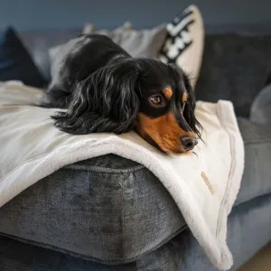 Essentials Twill Blanket in Linen by Lords & Labradors