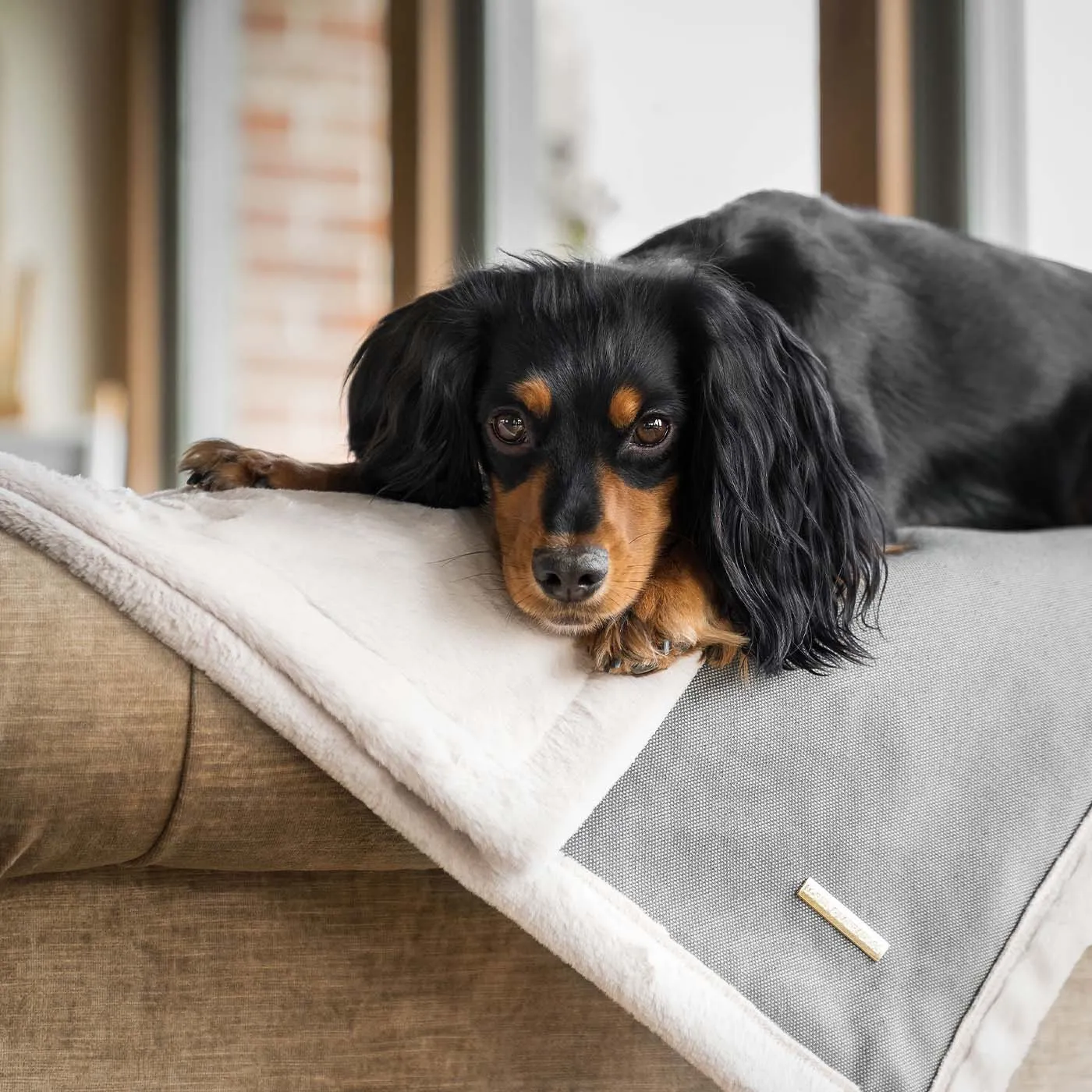 Essentials Twill Blanket in Slate by Lords & Labradors