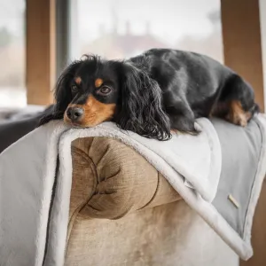 Essentials Twill Blanket in Slate by Lords & Labradors