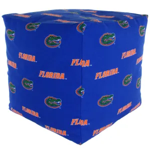 Florida Gators Cube Cushion
