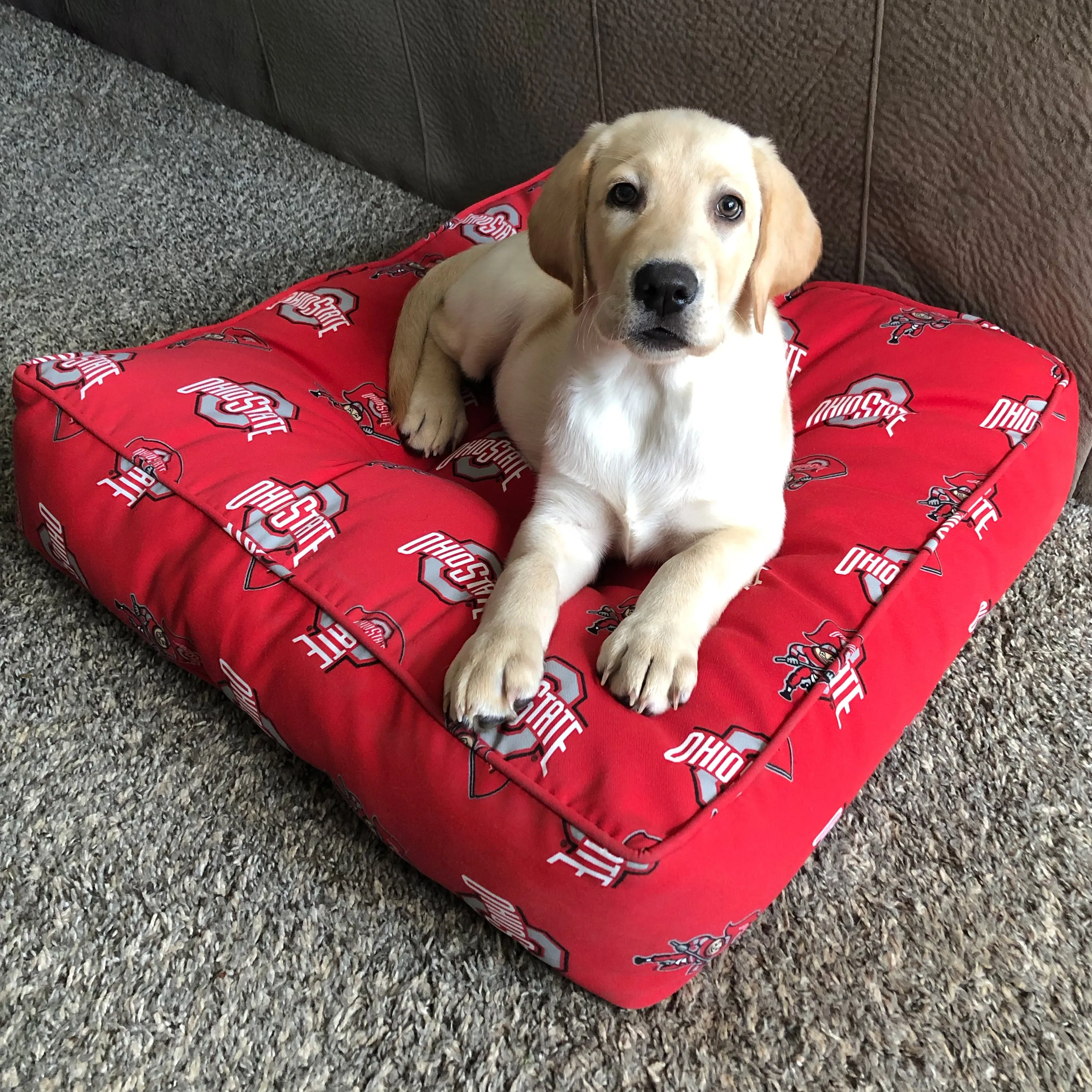 Florida State Seminoles Floor Pillow or Pet Bed, 24" x 24" Square