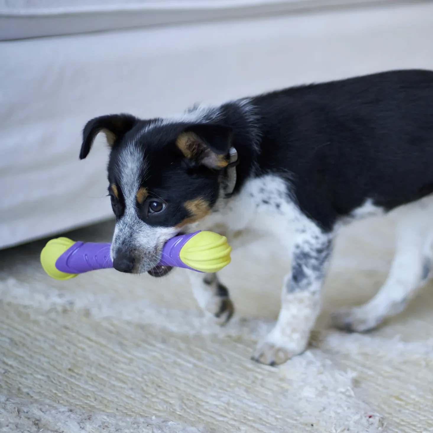 Kazoo Dog Toy Extreme Play Chew Stick