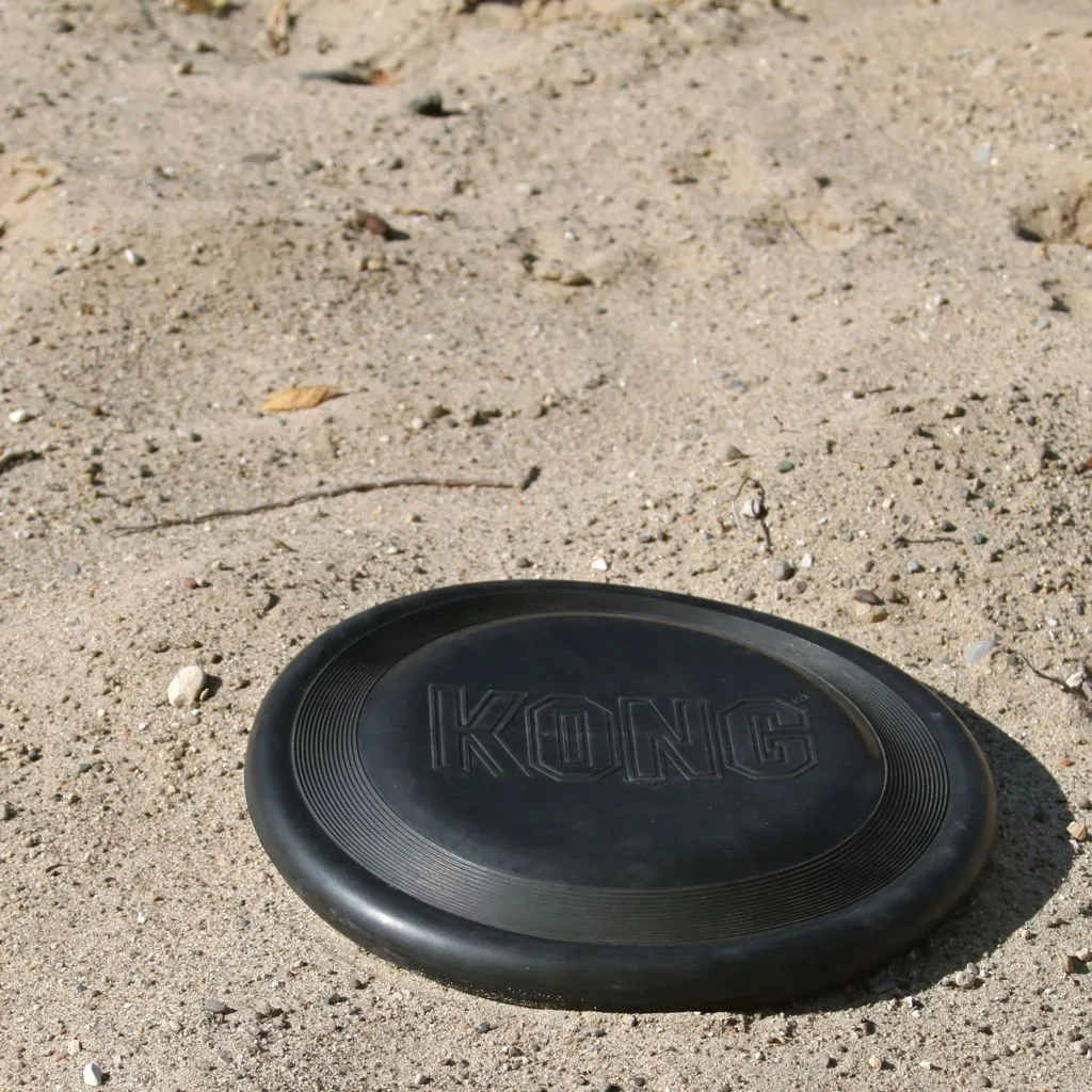 KONG Flyer