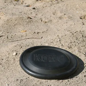 KONG Flyer