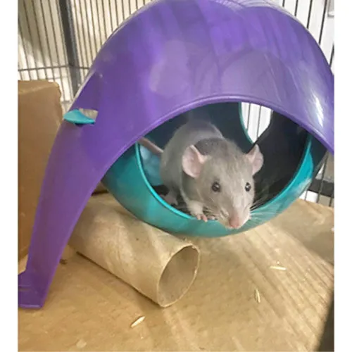 Nap Nook