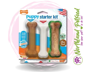 Nylabone Puppy Starter Kit