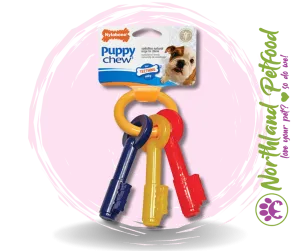 Nylabone Puppy Teething Keys