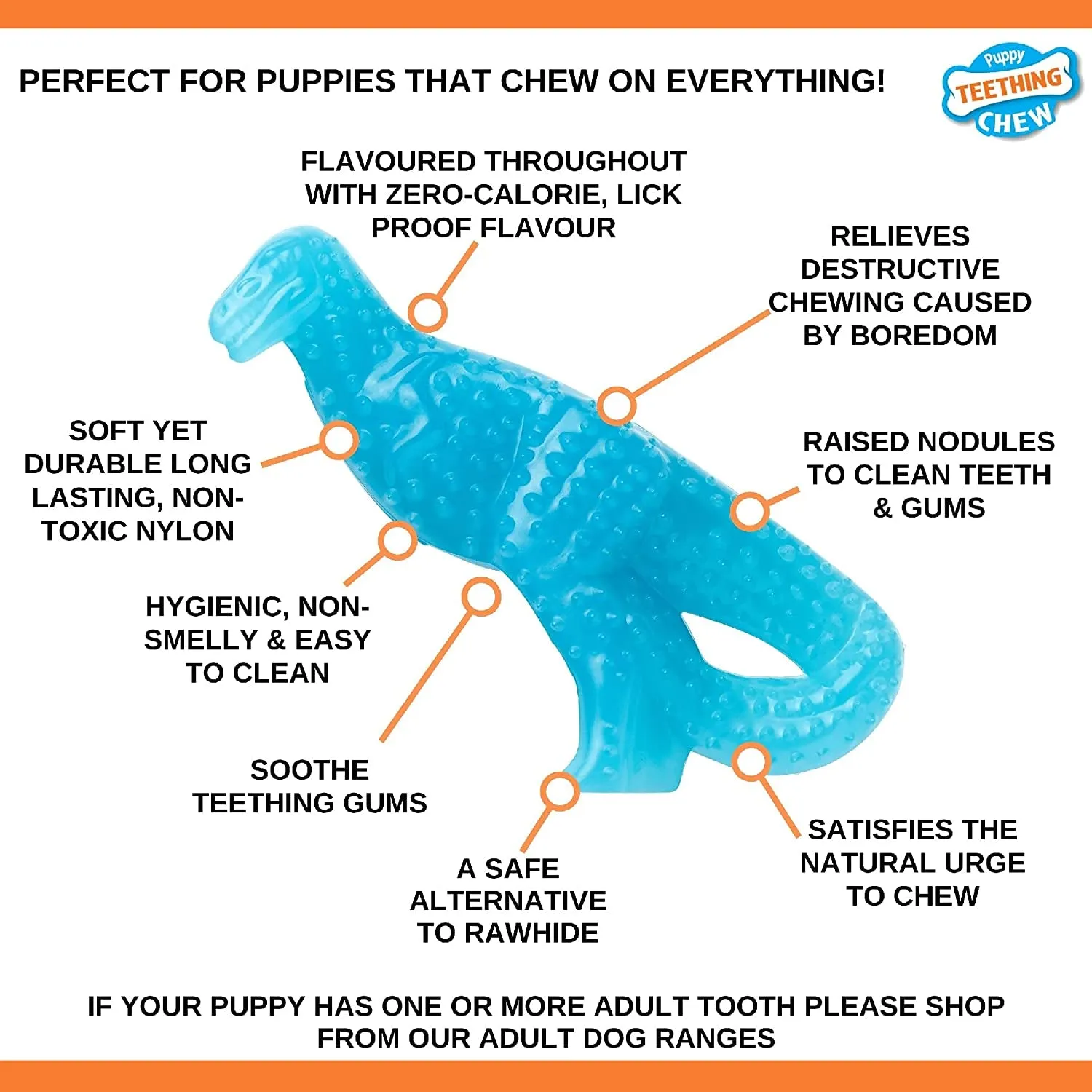 Nylabone Teething Puppy Dental Dino Chew Toy - S