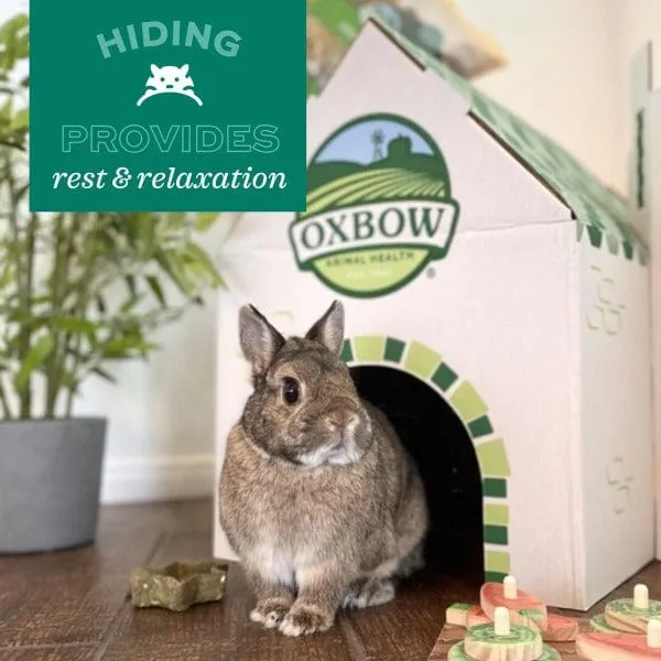 Oxbow Enriched Life - Cozy Cave