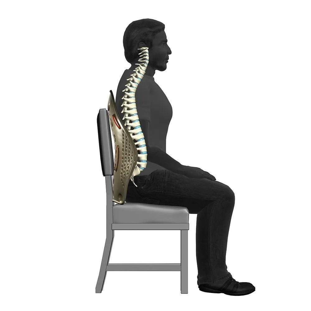 Perfect Back Rest With Seat