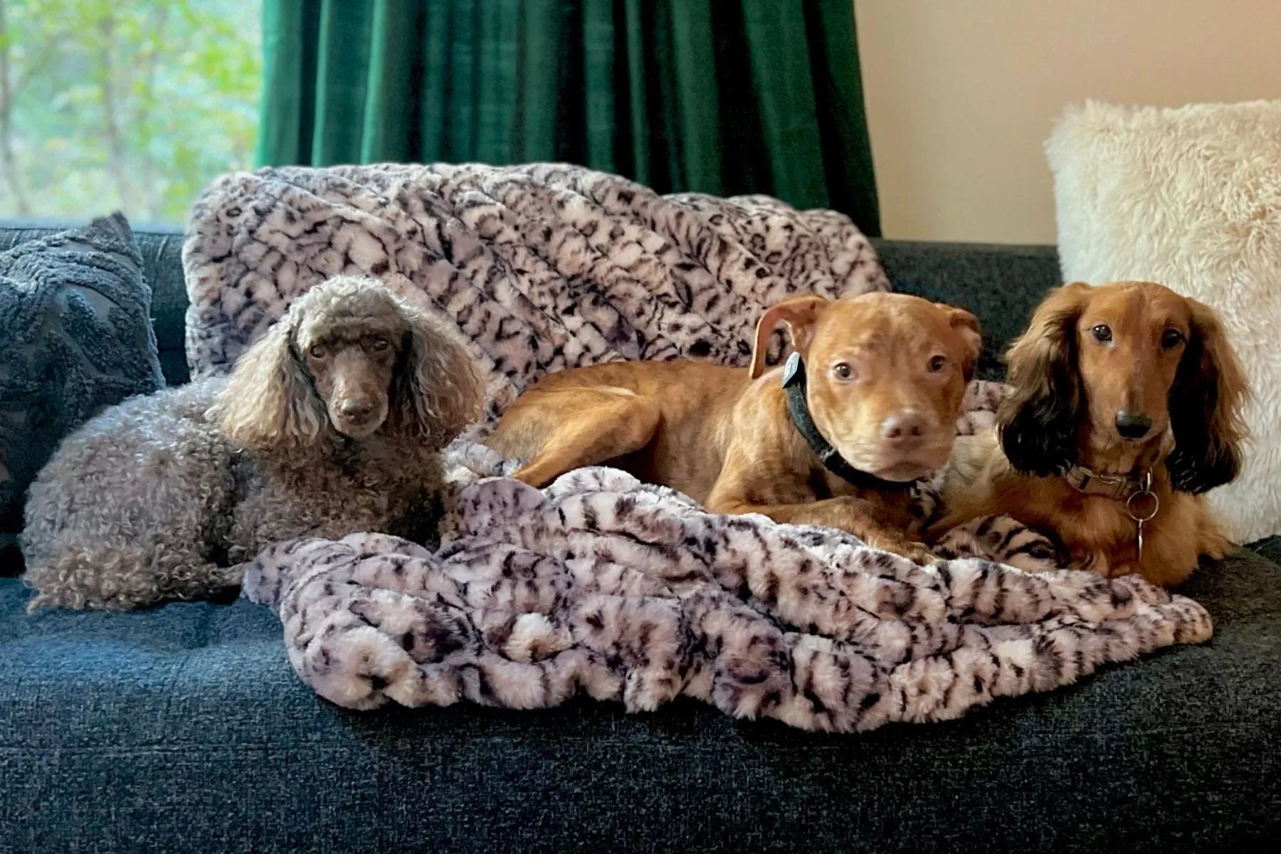 Royal Opulence Faux Fur Pet Blankets - Simply The Best For Furry Friends (Sold Out - Merlot!)